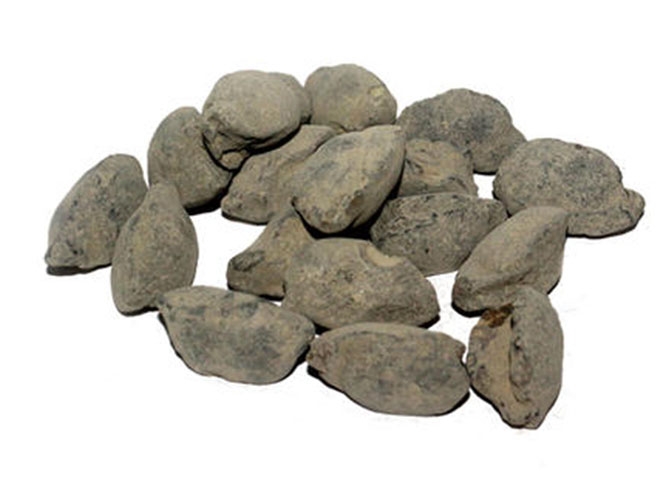 黑龍江普通鎂鈣磚價格